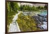 Opabin Plateau Trail Above Lake O'Hara, Yoho National Park, British Columbia, Canada-Russ Bishop-Framed Photographic Print