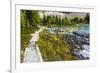 Opabin Plateau Trail Above Lake O'Hara, Yoho National Park, British Columbia, Canada-Russ Bishop-Framed Photographic Print