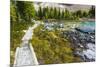 Opabin Plateau Trail Above Lake O'Hara, Yoho National Park, British Columbia, Canada-Russ Bishop-Mounted Photographic Print