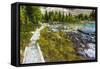 Opabin Plateau Trail Above Lake O'Hara, Yoho National Park, British Columbia, Canada-Russ Bishop-Framed Stretched Canvas