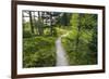 Opabin Plateau Trail Above Lake O'Hara, Yoho National Park, British Columbia, Canada-Russ Bishop-Framed Photographic Print