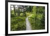 Opabin Plateau Trail Above Lake O'Hara, Yoho National Park, British Columbia, Canada-Russ Bishop-Framed Photographic Print