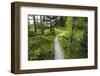 Opabin Plateau Trail Above Lake O'Hara, Yoho National Park, British Columbia, Canada-Russ Bishop-Framed Photographic Print