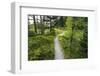 Opabin Plateau Trail Above Lake O'Hara, Yoho National Park, British Columbia, Canada-Russ Bishop-Framed Photographic Print