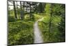 Opabin Plateau Trail Above Lake O'Hara, Yoho National Park, British Columbia, Canada-Russ Bishop-Mounted Photographic Print