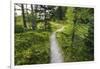 Opabin Plateau Trail Above Lake O'Hara, Yoho National Park, British Columbia, Canada-Russ Bishop-Framed Photographic Print