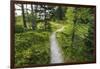 Opabin Plateau Trail Above Lake O'Hara, Yoho National Park, British Columbia, Canada-Russ Bishop-Framed Photographic Print