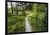 Opabin Plateau Trail Above Lake O'Hara, Yoho National Park, British Columbia, Canada-Russ Bishop-Framed Photographic Print