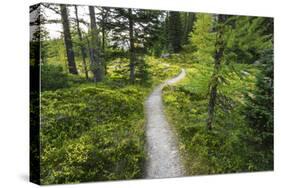 Opabin Plateau Trail Above Lake O'Hara, Yoho National Park, British Columbia, Canada-Russ Bishop-Stretched Canvas