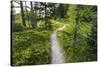 Opabin Plateau Trail Above Lake O'Hara, Yoho National Park, British Columbia, Canada-Russ Bishop-Stretched Canvas