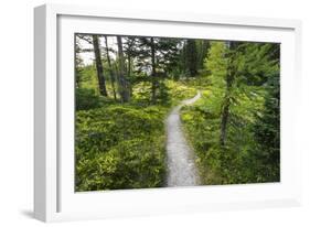 Opabin Plateau Trail Above Lake O'Hara, Yoho National Park, British Columbia, Canada-Russ Bishop-Framed Photographic Print