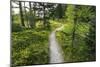 Opabin Plateau Trail Above Lake O'Hara, Yoho National Park, British Columbia, Canada-Russ Bishop-Mounted Photographic Print