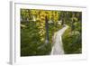 Opabin Plateau Trail Above Lake O'Hara, Yoho National Park, British Columbia, Canada-Russ Bishop-Framed Photographic Print