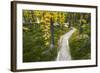 Opabin Plateau Trail Above Lake O'Hara, Yoho National Park, British Columbia, Canada-Russ Bishop-Framed Photographic Print