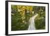 Opabin Plateau Trail Above Lake O'Hara, Yoho National Park, British Columbia, Canada-Russ Bishop-Framed Photographic Print