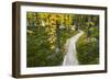 Opabin Plateau Trail Above Lake O'Hara, Yoho National Park, British Columbia, Canada-Russ Bishop-Framed Photographic Print