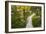 Opabin Plateau Trail Above Lake O'Hara, Yoho National Park, British Columbia, Canada-Russ Bishop-Framed Photographic Print