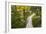 Opabin Plateau Trail Above Lake O'Hara, Yoho National Park, British Columbia, Canada-Russ Bishop-Framed Photographic Print