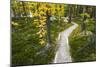 Opabin Plateau Trail Above Lake O'Hara, Yoho National Park, British Columbia, Canada-Russ Bishop-Mounted Photographic Print