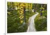 Opabin Plateau Trail Above Lake O'Hara, Yoho National Park, British Columbia, Canada-Russ Bishop-Framed Photographic Print