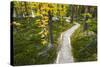 Opabin Plateau Trail Above Lake O'Hara, Yoho National Park, British Columbia, Canada-Russ Bishop-Stretched Canvas