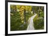 Opabin Plateau Trail Above Lake O'Hara, Yoho National Park, British Columbia, Canada-Russ Bishop-Framed Photographic Print