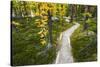 Opabin Plateau Trail Above Lake O'Hara, Yoho National Park, British Columbia, Canada-Russ Bishop-Stretched Canvas