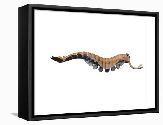 Opabinia Regalis from the Middle Cambrian Seas-null-Framed Stretched Canvas