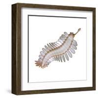 Opabinia Regalis from the Middle Cambrian Seas-null-Framed Art Print