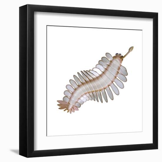 Opabinia Regalis from the Middle Cambrian Seas-null-Framed Art Print