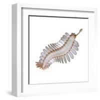 Opabinia Regalis from the Middle Cambrian Seas-null-Framed Art Print