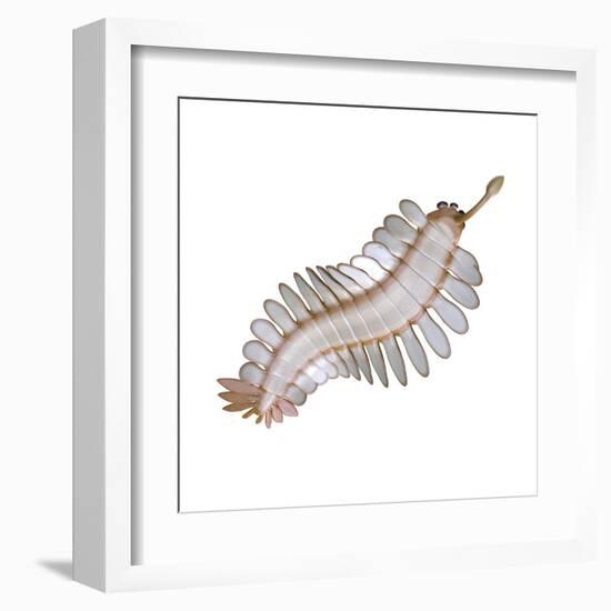 Opabinia Regalis from the Middle Cambrian Seas-null-Framed Art Print