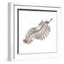 Opabinia Regalis from the Middle Cambrian Seas-null-Framed Art Print