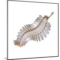 Opabinia Regalis from the Middle Cambrian Seas-null-Mounted Art Print