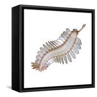 Opabinia Regalis from the Middle Cambrian Seas-null-Framed Stretched Canvas