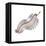 Opabinia Regalis from the Middle Cambrian Seas-null-Framed Stretched Canvas