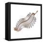 Opabinia Regalis from the Middle Cambrian Seas-null-Framed Stretched Canvas