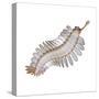 Opabinia Regalis from the Middle Cambrian Seas-null-Stretched Canvas