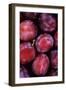 Opal Plums-Den Reader-Framed Photographic Print