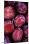 Opal Plums-Den Reader-Mounted Photographic Print