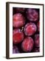 Opal Plums-Den Reader-Framed Photographic Print