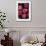 Opal Plums-Den Reader-Framed Photographic Print displayed on a wall