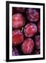 Opal Plums-Den Reader-Framed Photographic Print