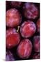 Opal Plums-Den Reader-Mounted Photographic Print