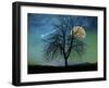 Opalescent Sky-Tina Lavoie-Framed Photographic Print