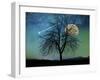 Opalescent Sky-Tina Lavoie-Framed Photographic Print