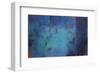 Opalescent-Jeannie Sellmer-Framed Art Print