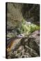 Oparara Arch-Rob Tilley-Stretched Canvas