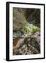 Oparara Arch-Rob Tilley-Framed Photographic Print