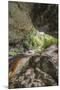 Oparara Arch-Rob Tilley-Mounted Photographic Print